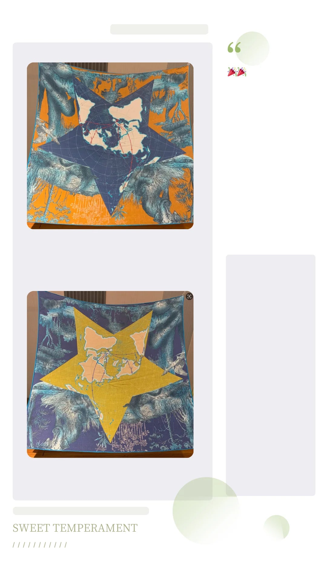 Women’s Luxury Silk Shawl | Bold Statement Elegance